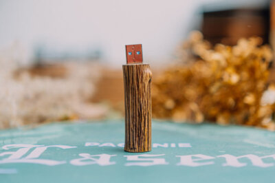 Pendrive gałązka