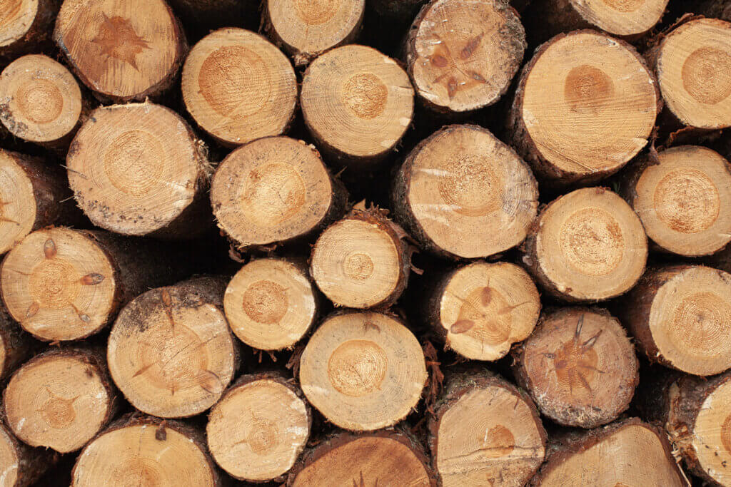 Pomysły z drewna – co można zrobić z drewna? 1